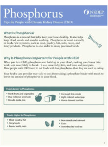 Nutrition - Phosphorus