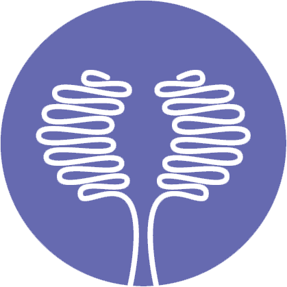 PRINE Endocrine